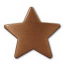 Bronze Star Badge